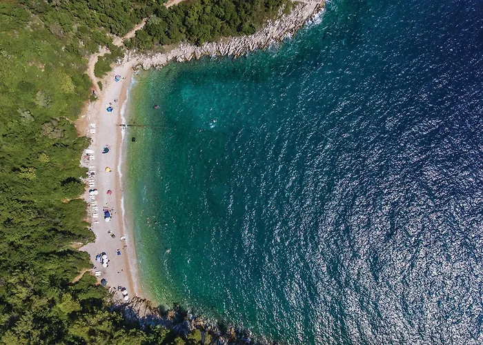 Cozy In With Kitchen Appartement *